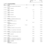 Hong Kong Bank of China (Hong Kong) bank statement template in Word and PDF format (3 pages)