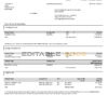 Hong Kong Citibank credit card statement template in Word and PDF format