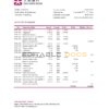 Hong Kong DAH Sing bank statement Excel and PDF template