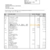 Hong Kong HSBC The Hongkong and Shanghai Banking Corporation bank statement template in Excel and PDF format (2 pages)