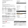 Hong Kong HSBC bank Visa Platinum credit card statement template in Word and PDF format