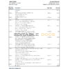 Hungary Erste bank statement Excel and PDF template