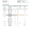 Hungary OTP Bank statement template in Word and PDF format