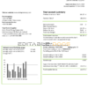 Iceland Arctic Green Energy Corporation electricity utility bill template in Word and PDF