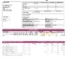 India Axis bank statement, Word and PDF template, 3 pages