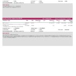 India Axis bank statement, Word and PDF template, 3 pages
