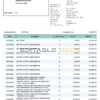 India Bandhan bank statement, Word and PDF template, 2 pages