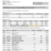 India ICICI Bank statement template in Word and PDF format (2 pages)