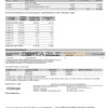 India ICICI Bank statement template in Word and PDF format (2 pages)