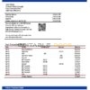 India Indian Overseas Bank statement template in Word and PDF format
