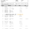Indonesia BCA bank statement, Word and PDF template, 6 pages