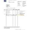 Ireland AIB bank statement easy to fill template in Excel and PDF format