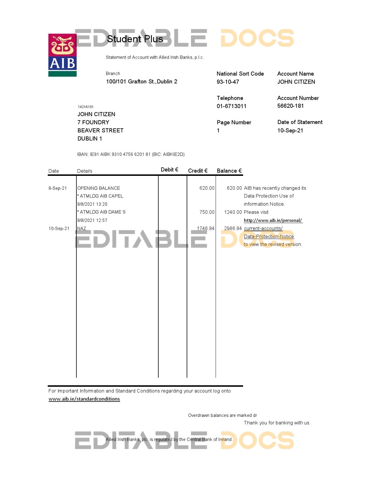 Ireland AIB bank statement easy to fill template in Excel and PDF format