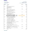 Ireland Bank of Ireland bank statement Excel and PDF template