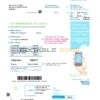 Ireland Electric Ireland utility bill template in Word and PDF format