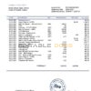 Ireland Fire Financial Services Limited account statement template in Word and PDF format