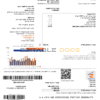 Israel Electric Corporation electricity utility bill template in Word and PDF format (.doc and .pdf)