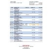 Israel Hapoalim bank statement Excel and PDF template