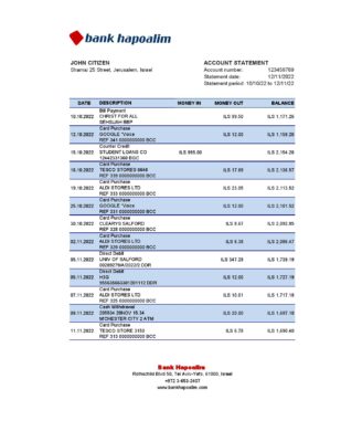 Israel Hapoalim bank statement Excel and PDF template