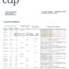 Italy Cassa Depositi e Prestiti bank statement template in Word and PDF format, fully editable
