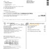 Italy Enel electricity utility bill template in Word and PDF format