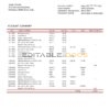 Italy Unicredit bank statement template in .doc and .pdf format, fully editable