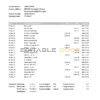 Japan MUFG bank statement template in Excel and PDF format