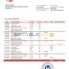 Kazakhstan Kaspi Bank statement template in Word and PDF format