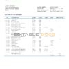 Kuwait Burgan Bank statement template in Word and PDF format