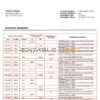 Latvia LPB bank statement template in Word and PDF format