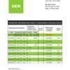 Latvia SEB Bank statement template in Word and PDF format