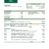 Lesotho Nedbank bank statement template in Word and PDF format