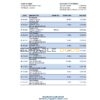 Lesotho Standard Lesotho Bank statement Excel and PDF template