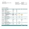 Lithuania (Litva) DNB bank statement template in Word and PDF format