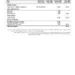 Malaysia Maxis bank statement, Word and PDF template, 5 pages