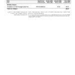 Malaysia Maxis bank statement, Word and PDF template, 5 pages