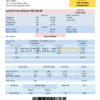 Malaysia Tenaga Nasional electricity utility bill template in Word and PDF format