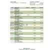 Malta APS bank statement Excel and PDF template