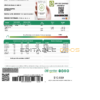 Mexico Federal Electricity Commission (CFE) utility bill template in Word format, 2 pages