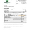 Moldova Mobiasbanca bank statement Excel and PDF template