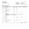 Montenegro NLB bank statement template, Word and PDF format (.doc and .pdf)
