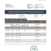 Netherlands Citibank bank statement template in .doc and .pdf file format