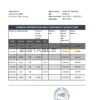 Netherlands Citibank bank statement template in .xls and .pdf file format
