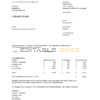 Netherlands NUON gas utility bill template in Word and PDF format in Dutch language