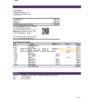 Netherlands SNS bank statement Excel and PDF template