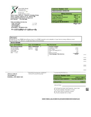 USA Editable Templates 16 USA New Mexico electricity proof of address utility bill template in Word and PDF format