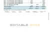 New Zealand ANZ bank account statement, Word and PDF template, 2 pages