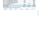 New Zealand ANZ bank account statement, Word and PDF template, 2 pages