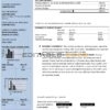 USA New York National Grid utility bill template in Word and PDF format