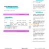 United Kingdom Octopus Energy utility bill template in Word and PDF format, 3 pages